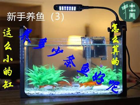 家裡養魚數量|【魚缸要養幾隻魚】新手水族箱必看！魚缸養幾隻魚才剛好？